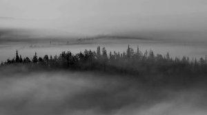 dan balan – лишь до утра (slowed + reverb)