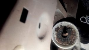 Ларгус гниёт изнутри