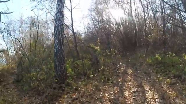 ЗАКРЫЛИ ЛЕТНИЙ СЕЗОН. ВЯТБОТ 390 PRO смотреть онлайн