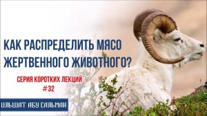 Ильшат Абу Сальман. Как распределить мясо жертвенного животного? Серия лекций Курбан-Байрам