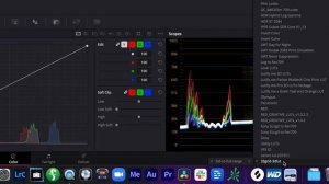 Missing LUTs in DaVinci Resolve WORKAROUND