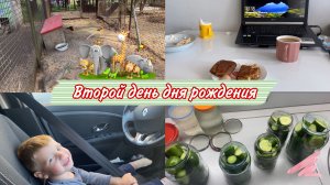 День ДЕТСКИХ РАДОСТЕЙ / В парке и ЗООпарке