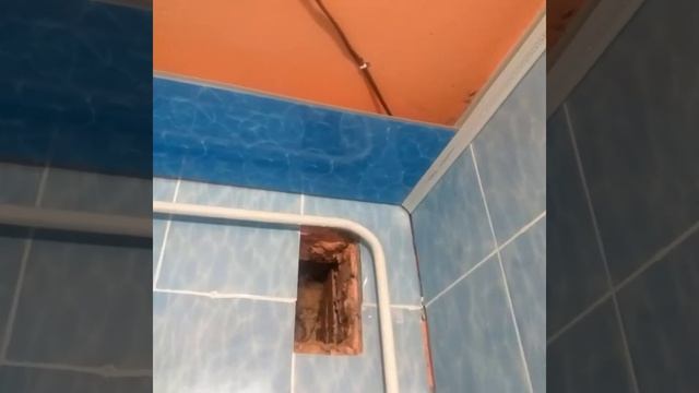 Ремонт ванной комнаты в хрущёвке,своими руками,без какого либо опыта? смотреть онлайн