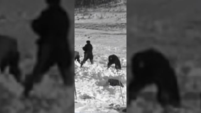 Перевал Дятлова 312 Лекция от Тани Котовой. Сколько тел нашли на перевале до 5 марта 59 г? #дятловц смотреть онлайн