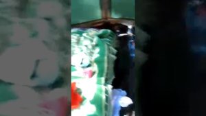 Лечебное озеро, Данилово в Омской области