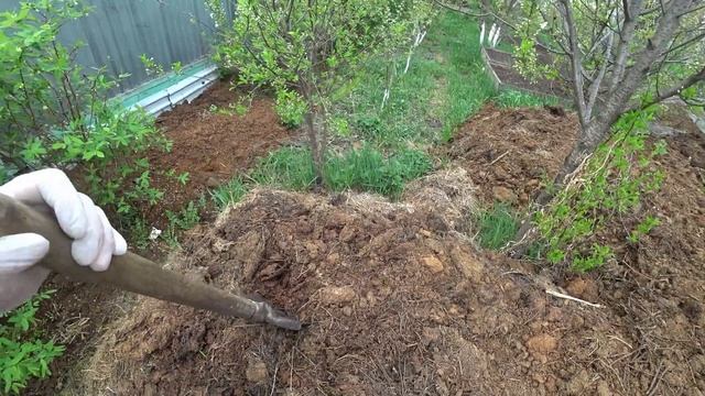 2 варианта посадки кабачков смотреть онлайн