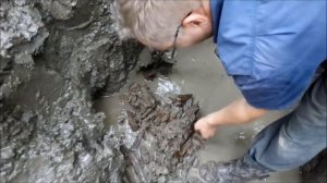 Чистка и возрождение родника в Кобяково