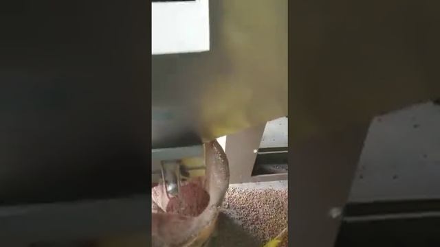 Chana Cleaning on Specific Gravity Separator, Model : GS-5F4T смотреть онлайн