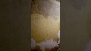 Как жить в коммунальной квартире. Слышимость в коммуналке - не поспать