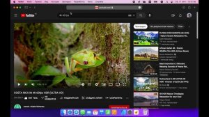 Как смотреть видео в Youtube в 4K в Safari на MacBook    4K