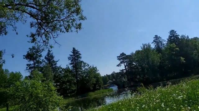 Жизнь как жизнь.Началось....Лена Хеппи Эвридей готовит пути к отступлению. смотреть онлайн