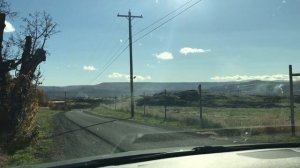 Американское ранчо. Бизоны в Америке. American Ranch. Bisons or American Buffalo