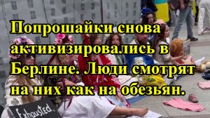 Попрошайки снова активизировались в Берлине. Люди смотрят на них как на обезьян.