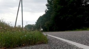 Test BMW K 1600 GT