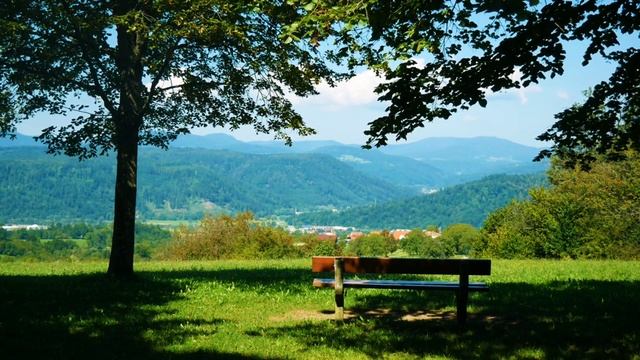 ЛЮБОВЬ МАТЕРИ Аудио рассказы Истории из Жизни