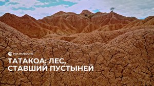 Марсианские пейзажи: зачем ехать в пустыню Татакоа