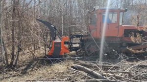 Трактор ДТ-75 с мульчером UM-Forest
