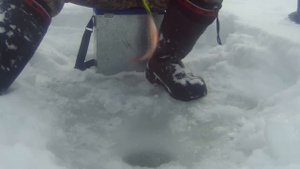 Ловля окуня на балансир и на мушки/ Красноярское море/18 Февраля 2017 года.