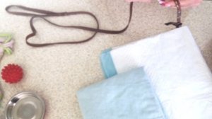 Что нужно Щенку? Обзор необходимого.