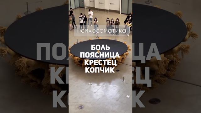 Боль в пояснице, крестце, копчике #психосоматика #психология #гнм #психосоматолог