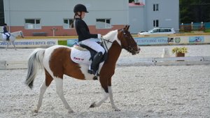 В Ханты-Мансийске проходят соревнования по конкуру и выездке