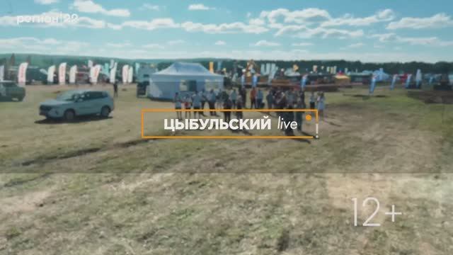 Цыбульский live. Итоги первой половины августа