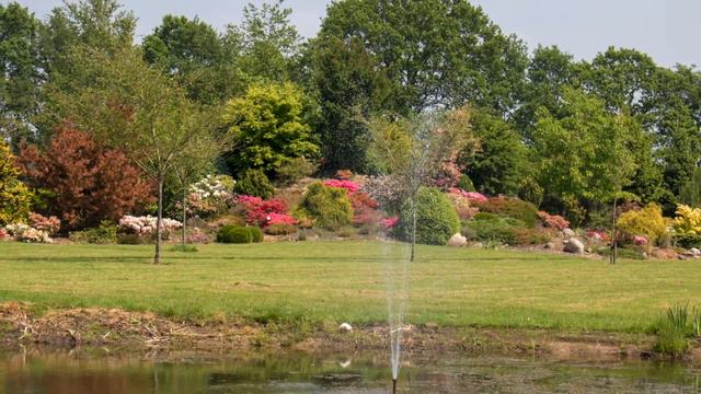 Rododendron mei 2018 смотреть онлайн