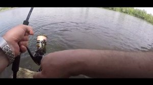 Лучшая приманка для ловли щуки ❘ Как словить сома на силикон Bait Breath T.T.Shad?