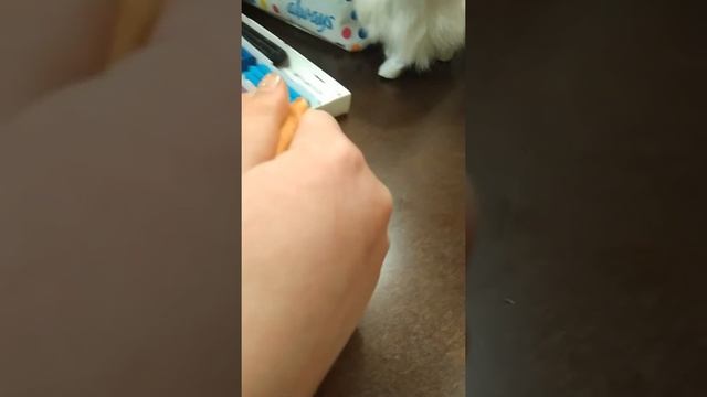 лепим куклу лол из пластилина смотреть онлайн