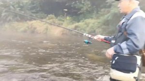 Рыбалка на горных реках, Анюй, Долми. Рыбалка на хариуса, и ленка.