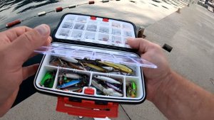 Рыбалка в Черногории на Море с Берега  Как, Что и на Что