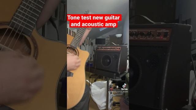 Tone test acoustic guitar amp