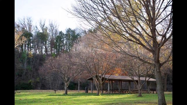 November 13, 2016 White Pines & Laredo Taft Park EGV смотреть онлайн