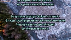 К чему снятся Руки сонник, толкование сна