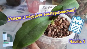 Успехи и неудачи экспериментов! Часть 1