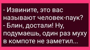 Барыня Пришла к Конюху за Сказкой на Ночь! Сборник Свежих Смешных Жизненных Анекдотов!
