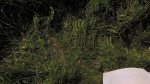 Антиреклама РЖД.