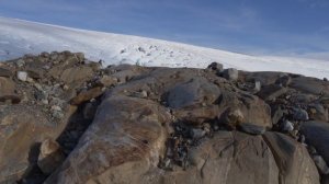 Дикая Скандинавия / Wild Nordic Серия 1 Побережье викингов / The Viking Coast