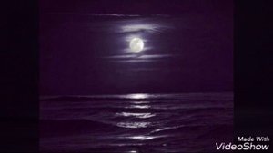 Владимир Харламов Моя милая