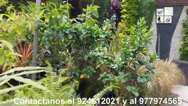 Centro de Jardineria смотреть онлайн