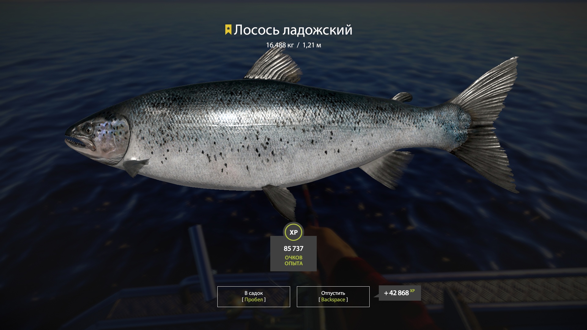 Russian fishing 4 steam charts фото 112