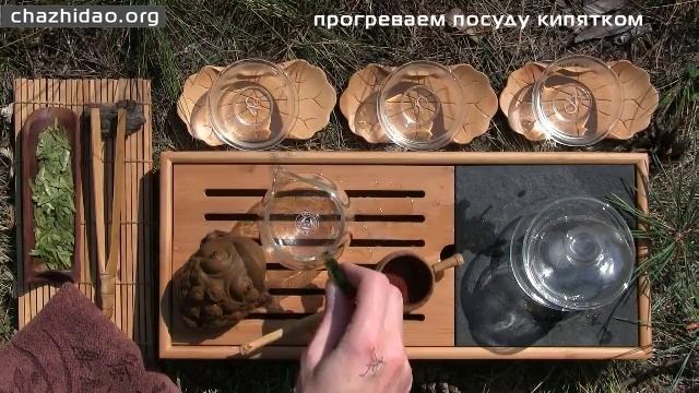 Заваривание зеленого чая в гайвани смотреть онлайн