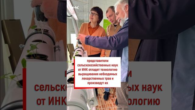 Производство лекарственных трав в гидропонике, гидропоника, наука, сельское хозяйства, ИНК, Институт