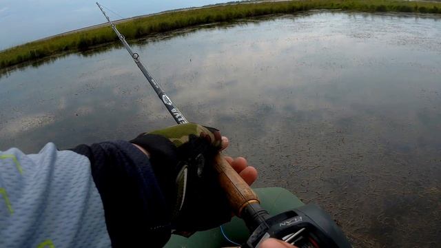 Рыбалка в день России.Змееголов 2019. смотреть онлайн