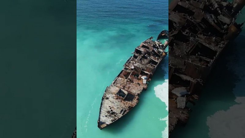 Вода в море поменяла цвет из-за нереста селедки на Сахалине. Автор видео - Олег Бутыгин