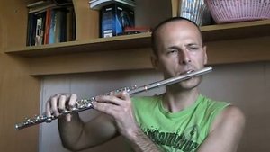 Вальс Метель на флейте