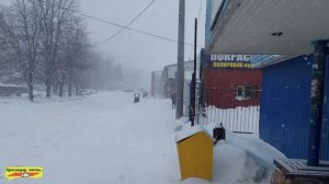 Краснодар в снежном плену. Зима. Снегопад. Пурга в Краснодаре. Snow storm in the South of Russia