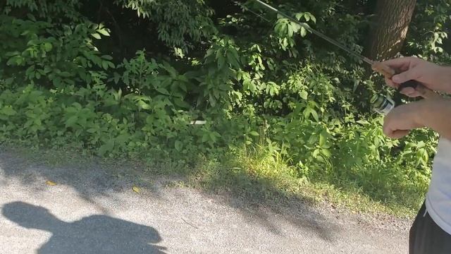 Pennsylvania Canal Micro Fishing Gulp Alive Minnow смотреть онлайн