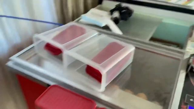 Доработка инкубатора весна ! смотреть онлайн