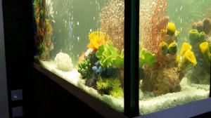 Аквариум 400 л барная стойка